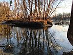 IMG_20260101_153015