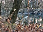 IMG_20260101_151011