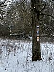 IMG_9646