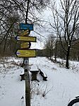 IMG_9637