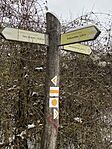 IMG_9642
