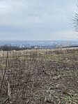 IMG_9672
