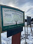 IMG_9749