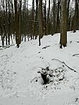 Unknown-3