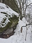 20260124_144229