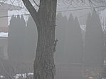 DSC00815