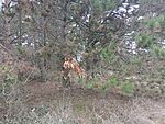 IMG_20251221_143719381_MFNR