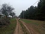 IMG_20251221_143737891_MFNR
