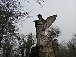IMG_20251229_100029989_MFNR