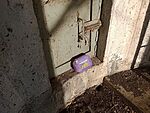 IMG_20260112_140300087_MFNR
