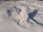 IMG_20260112_140517147_MFNR