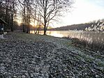 IMG_20260101_154619