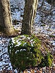 IMG_20260101_142129