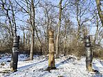 IMG_20260101_130240