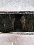 IMG_20260102_113433