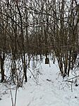 IMG_20260117_105730