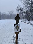 IMG_20260118_114602