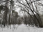 IMG_20260118_121230