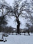 IMG_20260118_125500