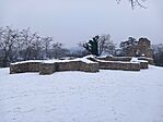 20260105_081239