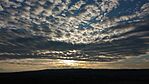 IMG_20260103_151912382