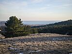 IMG_20260101_151437