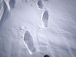 IMG_20260111_125021
