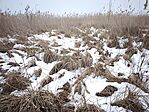 IMG_20260124_112202