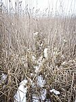 IMG_20260124_112306