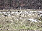 IMG_20260131_114555