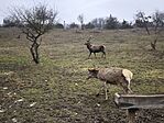IMG_20260131_114933