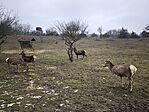 IMG_20260131_114949