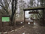 IMG_20260131_114355