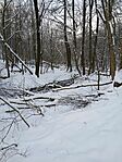 20260110_083905