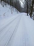 20260110_082033