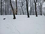 20260122_105618