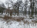 20260122_124552