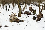 Pihenő