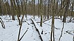 20260103_080740
