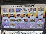 IMG_20260101_124455