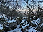 GCmogy_02