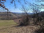 IMG_20260226_113550