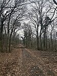 IMG_2145