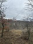 IMG_2144