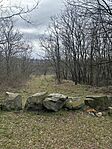 IMG_2147