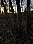 IMG_2192