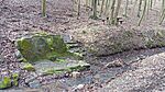 IMG_20260213_113555