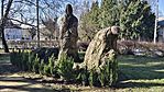 IMG_20260206_114355