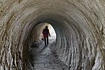 IMG_20260215_103653
