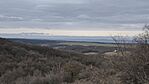 IMG_20260215_105126